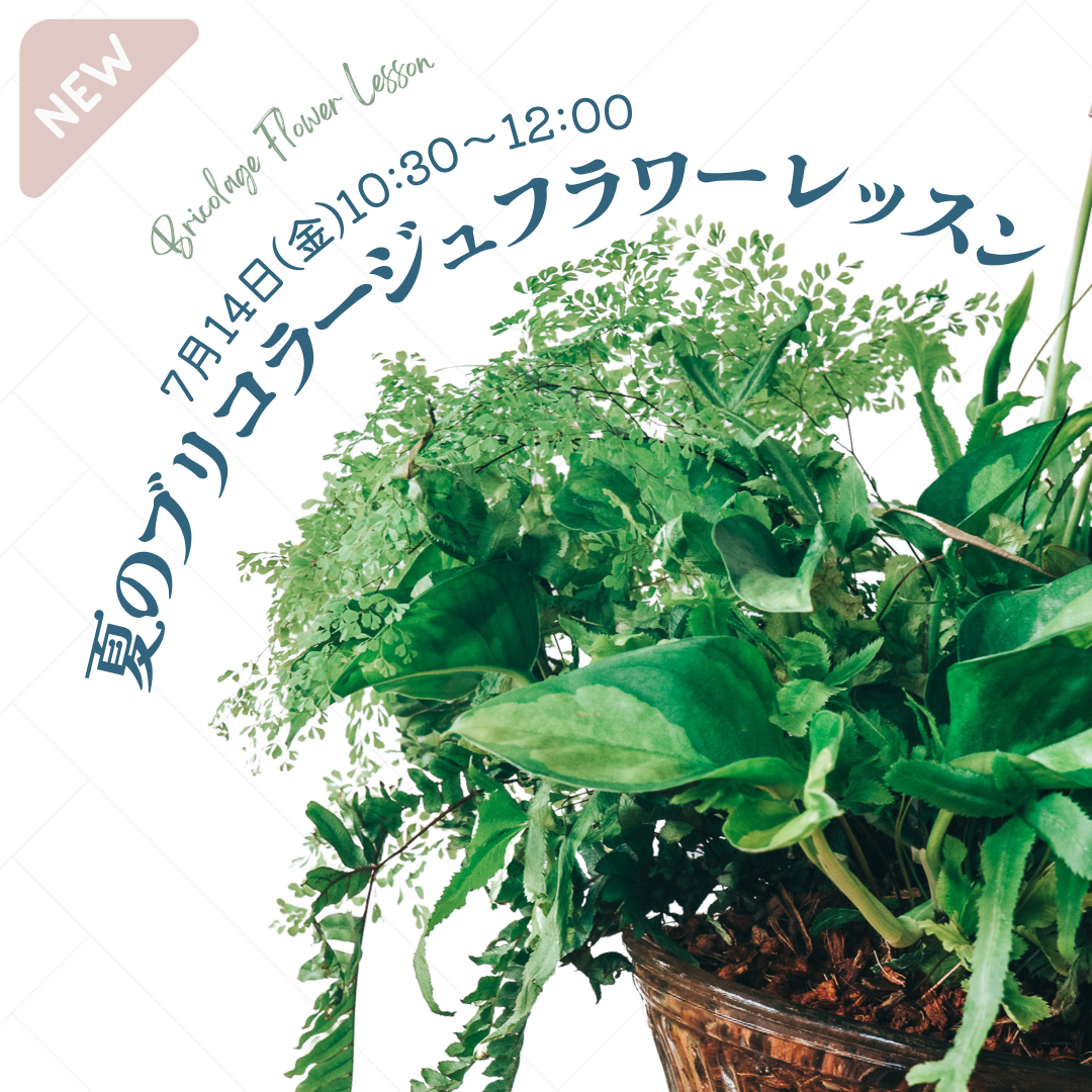 【7月14日（金）】ブリコラージュフラワーレッスン（大人向け）